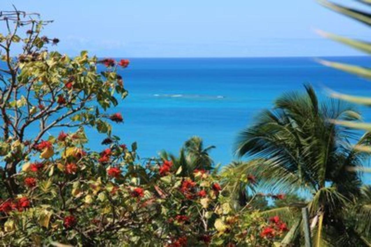 Attractive 2-Bed Apartment Stunning Sea View Dickenson Bay Εξωτερικό φωτογραφία